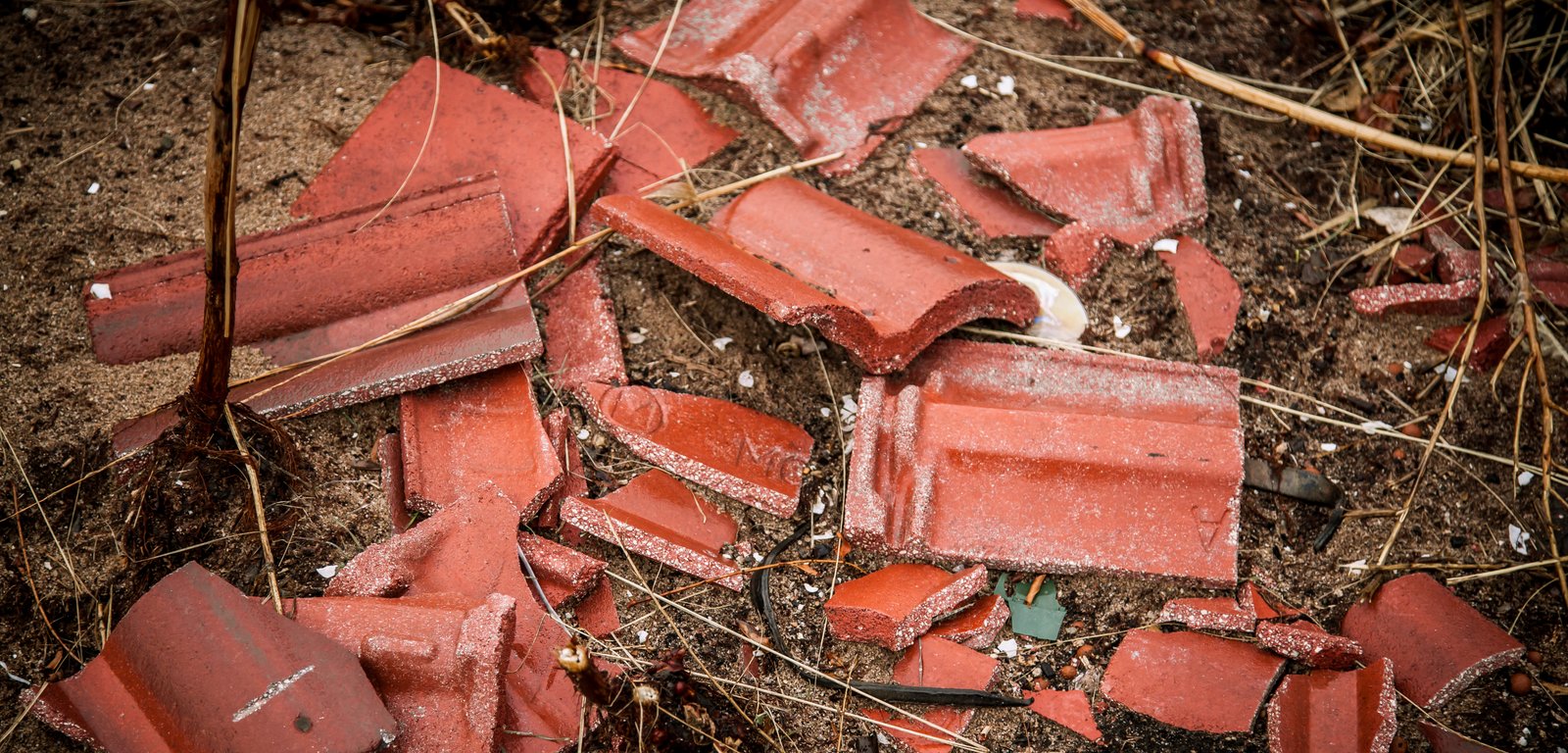 art-of-sandy-mo-staten island 2-98.jpg